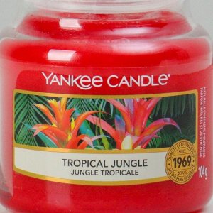Свеча ароматическая в банке Тропические джунгли Tropical Jungle, 104 гр, 25-45 ч