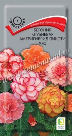 Бегония клубневая Америгибрид Пикоти Микс ЦП