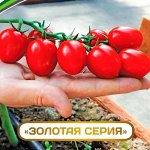 🌱 Шикарные томаты от Агрофирмы Партнер