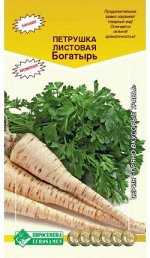 Петрушка листовая Богатырь (1 гр)