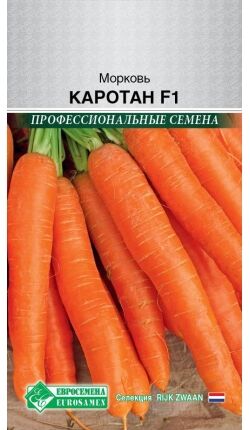 Морковь Каротан P3 (0,5 гр) /Rijk Zwaan