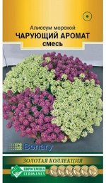 Алиссум морской Чарующий Аромат, смесь (10 шт)