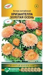 Астра китайская Хризантелла Золотая Осень (5 шт)