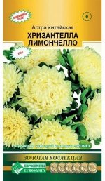 Астра китайская Хризантелла Лимончелло (5 шт)