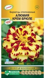Бархатцы отклоненные Алюмия Крем Брюле (10 шт)