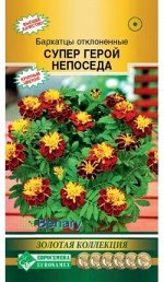 Бархатцы отклоненные Супер ГЕРОЙ НЕПОСЕДА (15 шт)