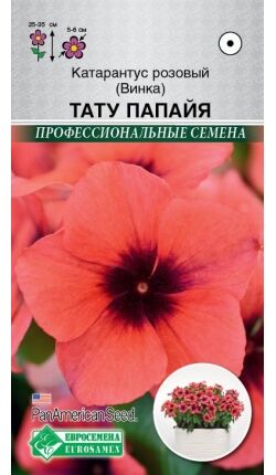 Катарантус розовый (Винка) Тату Папайя (5 шт) /PanAm Seeds