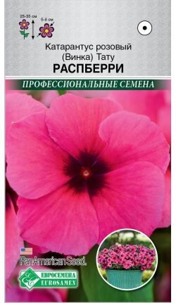 Катарантус розовый (Винка) Тату Распберри (5 шт) /PanAm Seeds