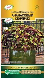 Колеус блюме Премиум Сан Ананасовый Сюрприз (3 драже)