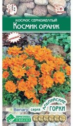 Космос серножелтый Космик Оранж (10 шт)