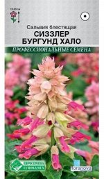 Сальвия блестящая Сиззлер Бургунд Хало (0,05 гр)