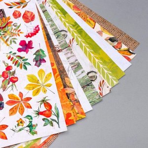 Набор бумаги для скрапбукинга "Botany autumn redesign " 10 листов, 30,5х30,5 см