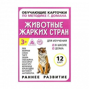 Обучающие карточки по методике Г. Домана «Животные жарких стран», 12 карт, А6