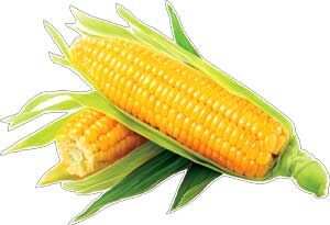 Вырубной плакат "Кукуруза"