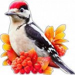 Украшение на скотче &quot;Дятел&quot;