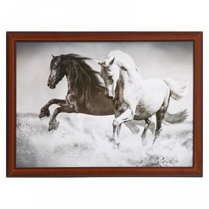 Картина "Пара лошадей" 56х76см рамка МИКС
