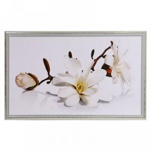 Картина "Белая орхидея" 67х107 см рамка МИКС