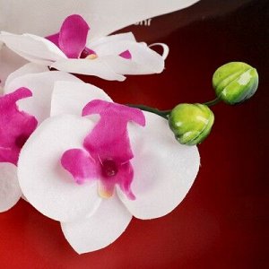 Цветы искусственные орхидея пышность 60 см белый