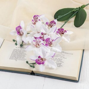 Цветы искусственные "Орхидея Фаленопсис мультифлора" 6*37 см, бело-сиреневый