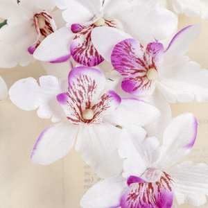 Цветы искусственные "Орхидея Фаленопсис мультифлора" 6*37 см, бело-сиреневый