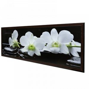 Картина "Орхидеи на чёрных камнях" 57*157 см рамка МИКС