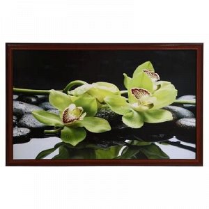 Картина "Орхидея-2" 67х107 см рамка микс