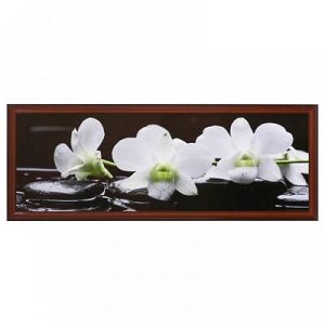 Картина "Орхидея на камнях" 47*127 см рамка МИКС