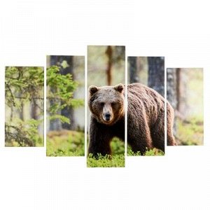 Модульная картина "Медведь в лесу" (2-25х50, 2-25х67, 25х80 см) 80х140 см