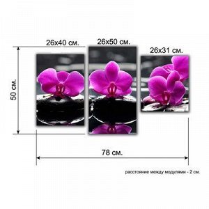 Картина модульная на подрамнике "Розовые Орхидеи на камнях" 26х50;26х40;26х32 80*50см