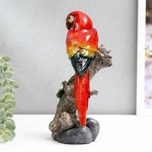 Сувенир полистоун лак "Красный попугай Ара на дереве" 21х10,5х8 см