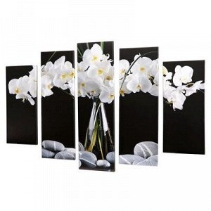Модульная картина "Белые орхидеи" (2-23х52; 2-24х70; 1-24х80) 120х80см