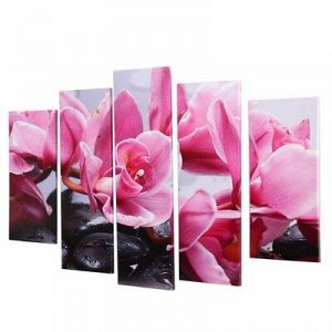 Модульная картина "Розовые орхидеи" (2-23х52; 2-24х70; 1-24х80) 120х80см