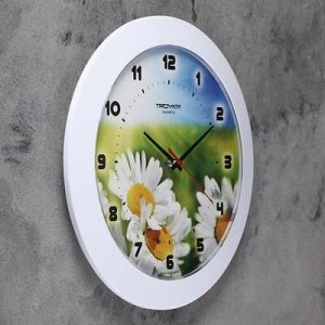 Часы настенные, серия: Цветы, "Ромашки", белый обод, 30х30 см