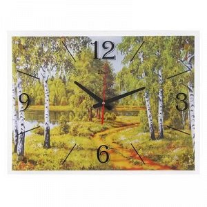 Часы настенные, серия: Природа, "Лесная дорога", 40х56 см, микс