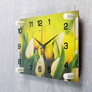 Часы настенные, серия: Цветы, "Тюльпаны", 20х26 см микс