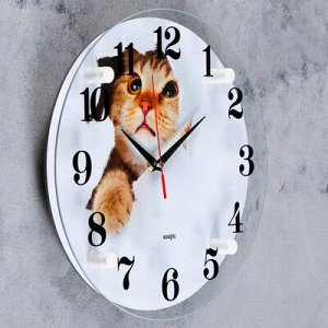Часы настенные, серия: Животный мир, "Кот", 30х30 см микс