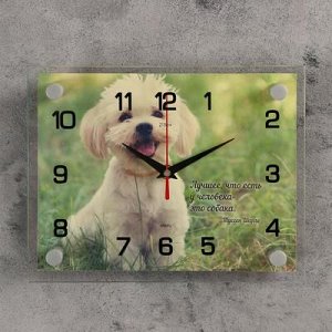 Часы настенные, серия: Животный мир, "Собачка", 20х26 см микс