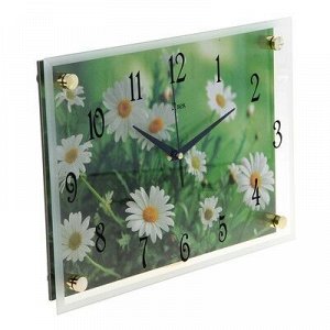 Часы настенные, серия: Цветы, "Ромашки", 25х35 см, микс