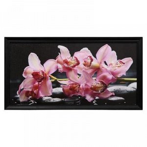 Картина "Розовые орхидеи" 57х107см