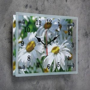 Часы настенные, серия: Цветы, "Ромашки", 20х30 см, микс
