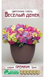 Цветочная смесь Веселый Денек (6 драже)