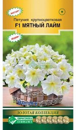 Петуния крупноцветковая МЯТНЫЙ ЛАЙМ F1 (10 драже)