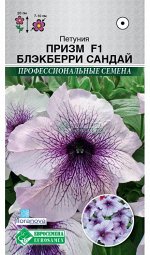 Петуния крупноцветковая Призм Блекберри Сандай F1 (8 драже)