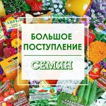 Евросемена. лучшее с мирового рынка