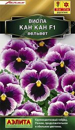 Виола Кан Кан F1 вельвет А