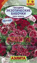 Гвоздика Экзотические бабочки смесь 0,1г А