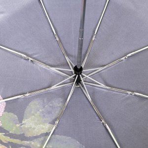 Зонт облегченный, 350гр, автомат, 102см, FABRETTI L-20110-5