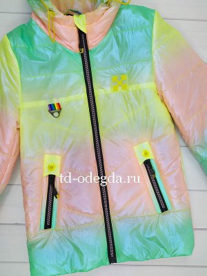 Куртка B107-6019