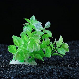 Пижон Аква Растение искусственное аквариумное кустовое, 10 см, зеленый
