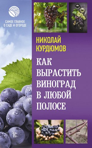 Курдюмов Н.И. Как вырастить виноград в любой полосе